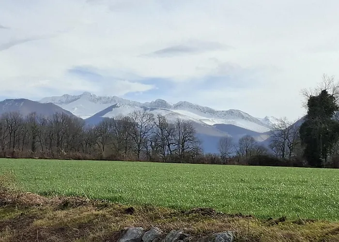 Halte Vigne Et Montagne * Gan
